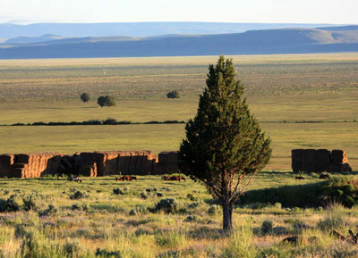 Roaring Springs country